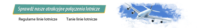 Bilety lotnicze online